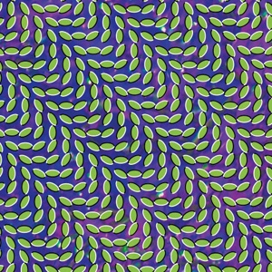 Animal Collective - Merriweather Post Pavilion - Domino