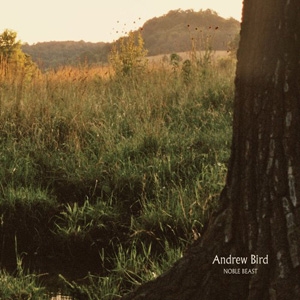 Andrew Bird - Noble Beast - Fat Possum